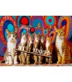 Puzzle da 1000 Pezzi - Five Cats