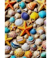 Puzzle da 1000 Pezzi - Beach Treasure