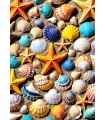 Puzzle da 1000 Pezzi - Beach Treasure