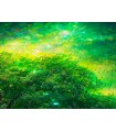 Puzzle da 1000 Pezzi - Norse Tree of Life