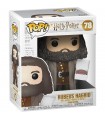 POP HP S5 Hagrid w Cake 6