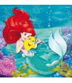 3 Puzzle da 49 Pezzi - Principesse Disney B