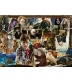 Puzzle da 1000 Pezzi - Harry Potter Contro Voldemort