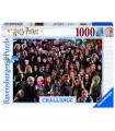 Puzzle da 1000 Pezzi - Challenge: Harry Potter