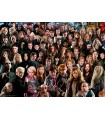 Puzzle da 1000 Pezzi - Challenge: Harry Potter