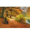 Puzzle da 1000 Pezzi - Hans Andersen Brendekilde: A Wooded Path in Autumn