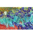 Puzzle da 1000 Pezzi - Vincent Van Gogh: Irises