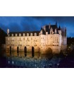 Puzzle da 1000 Pezzi - Chenonceau Castle