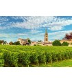 Puzzle da 500 Pezzi - Bordeaux Vineyards, France