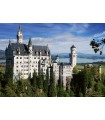 Puzzle da 500 Pezzi - Neuschwanstein Castle, Germany