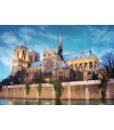 Puzzle da 500 Pezzi - Notre Dame, Paris, France