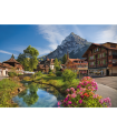 Puzzle da 2000 Pezzi - Alps in The Summer