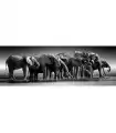 Puzzle da 1000 Pezzi Panorama - Herd of Giants