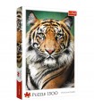 Puzzle da 1500 Pezzi - Portrait of a Tiger