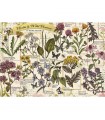 Puzzle da 500 Pezzi - Herbarium: Medicinal Herbs