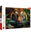 Puzzle da 1000 Pezzi - Wild Tiger