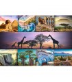Puzzle da 1000 Pezzi - Collage: Africa