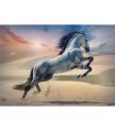 Puzzle da 1000 Pezzi - Majestic Horse