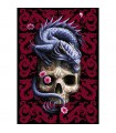 Puzzle da 1000 Pezzi - Premium Plus - Fantasy Collection by Anne Stokes: Oriental Dragon