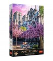 Puzzle da 1000 Pezzi - Premium Plus - Photo Odyssey: Notre - Dame Cathedral of Paris