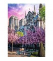 Puzzle da 1000 Pezzi - Premium Plus - Photo Odyssey: Notre - Dame Cathedral of Paris