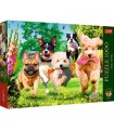 Puzzle da 1000 Pezzi - Premium Plus - Tea Time: Here Comes Trouble!