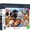 Puzzle da 500 Pezzi UFT - Cuteness Overload: Lazy Doggies