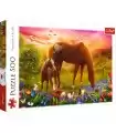 Puzzle da 500 Pezzi - Horses in the Meadow
