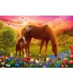 Puzzle da 500 Pezzi - Horses in the Meadow