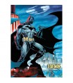 Puzzle da 1000 Pezzi - Premium Plus - DC Comics: Batman