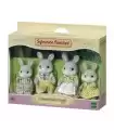 Famiglia Coniglio Cottontail