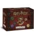Harry Potter Hogwarts Battle: Incanti e Pozioni - Espansione Cooperativa per 2-5 Giocatori, Gioco di Strategia Magica