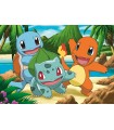 2 Puzzle da 24 Pezzi - Pokémon