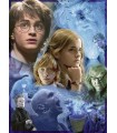 Puzzle da 500 Pezzi - Harry Potter e il Calice di Fuoco