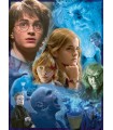 Puzzle da 500 Pezzi - Harry Potter e il Calice di Fuoco