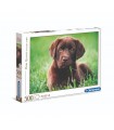 Puzzle da 500 Pezzi - High Quality Collection: Chocolate Puppy