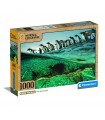 Puzzle da 1000 Pezzi - Nat Geo: Pinguini