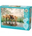 Cobble Hill (350 pezzi) - Horse Family 