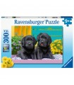 Puzzle da 300 Pezzi XXL Vita da Cucciolo