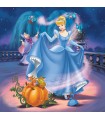 3 Puzzle da 49 Pezzi - Principesse Disney A