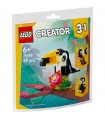 Creator - Tucano Tropicale