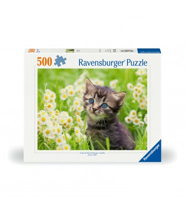 Puzzle da 500 Pezzi - Gattino nel Prato