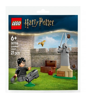 Harry Potter - Lezione di Quidditch