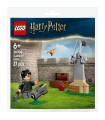 Harry Potter - Lezione di Quidditch
