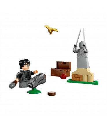 Harry Potter - Lezione di Quidditch