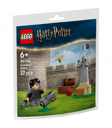 Harry Potter - Lezione di Quidditch