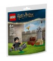 Harry Potter - Lezione di Quidditch