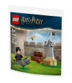 Harry Potter - Lezione di Quidditch