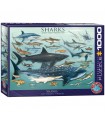 Puzzle da 1000 Pezzi - Sharks
