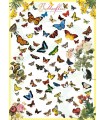 Puzzle da 1000 Pezzi - Butterflies
